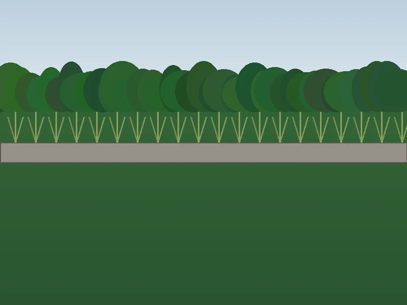 Drought-tolerant New England shrub border combining boxwoods, hydrangeas, and ornamental grasses in Peabody